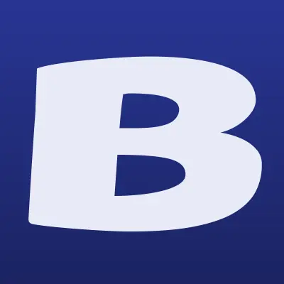 Березовская Сервисная Компания, производственная компания, лого-визитка