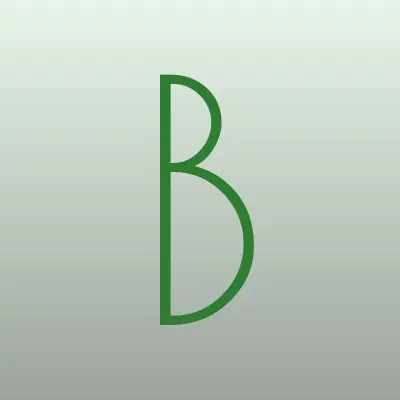 Блиц центр, г. Тольятти, лого-визитка