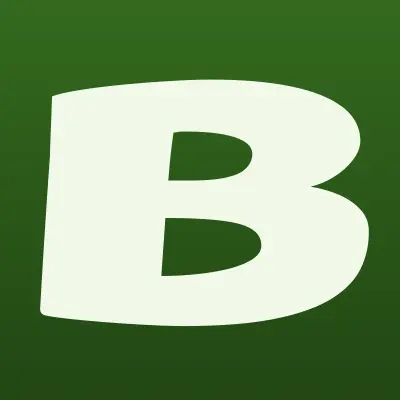 Bonito, салон обуви, лого-визитка