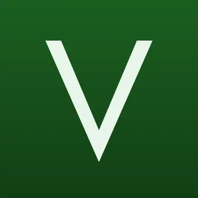 VIANOR, шинный центр, лого-визитка