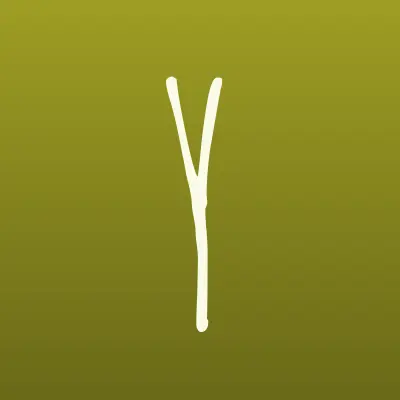 Young, магазин молодежной одежды, лого-визитка